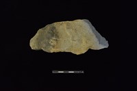 陶片藏品圖，第1張